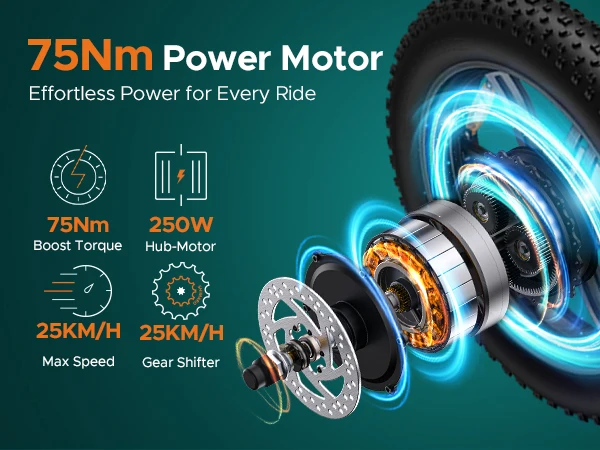 Hd0d073b4365346e3a740c4a7795a4e1dA.webp Hd0d073b4365346e3a740c4a7795a4e1dA.webp